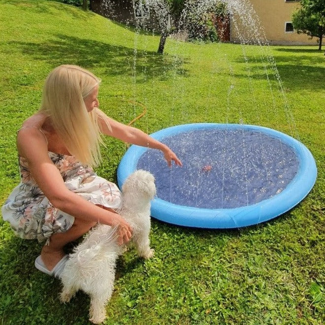 DogBad | Verfrissende sproeikussen voor honden!