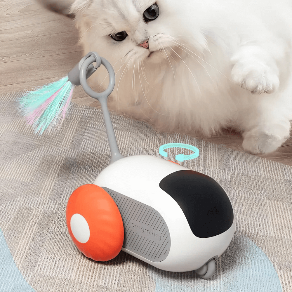 TurboCat | Breng de opwinding van de jacht naar je huiskamer.