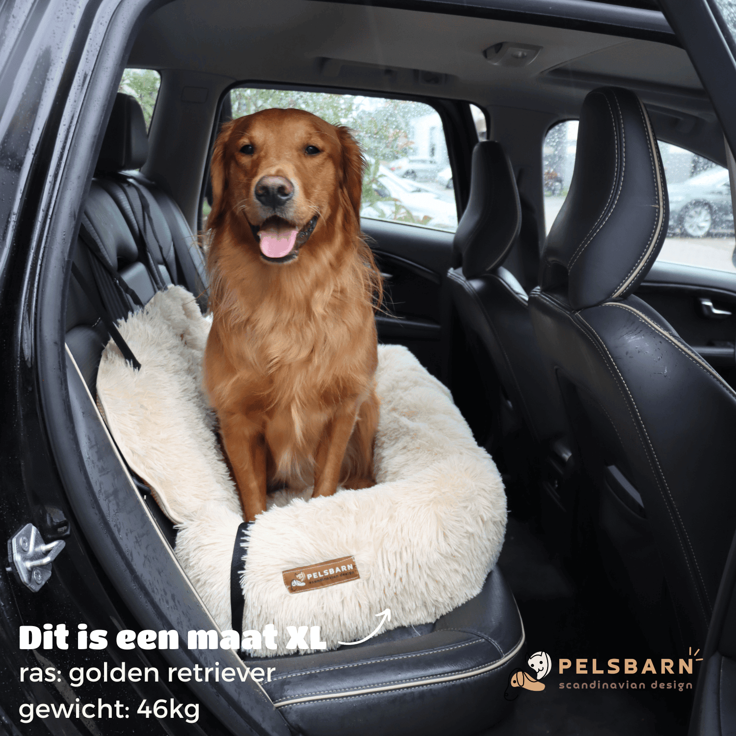 Pelsbarn Auto Hondenmand + Gratis Veiligheidsriem