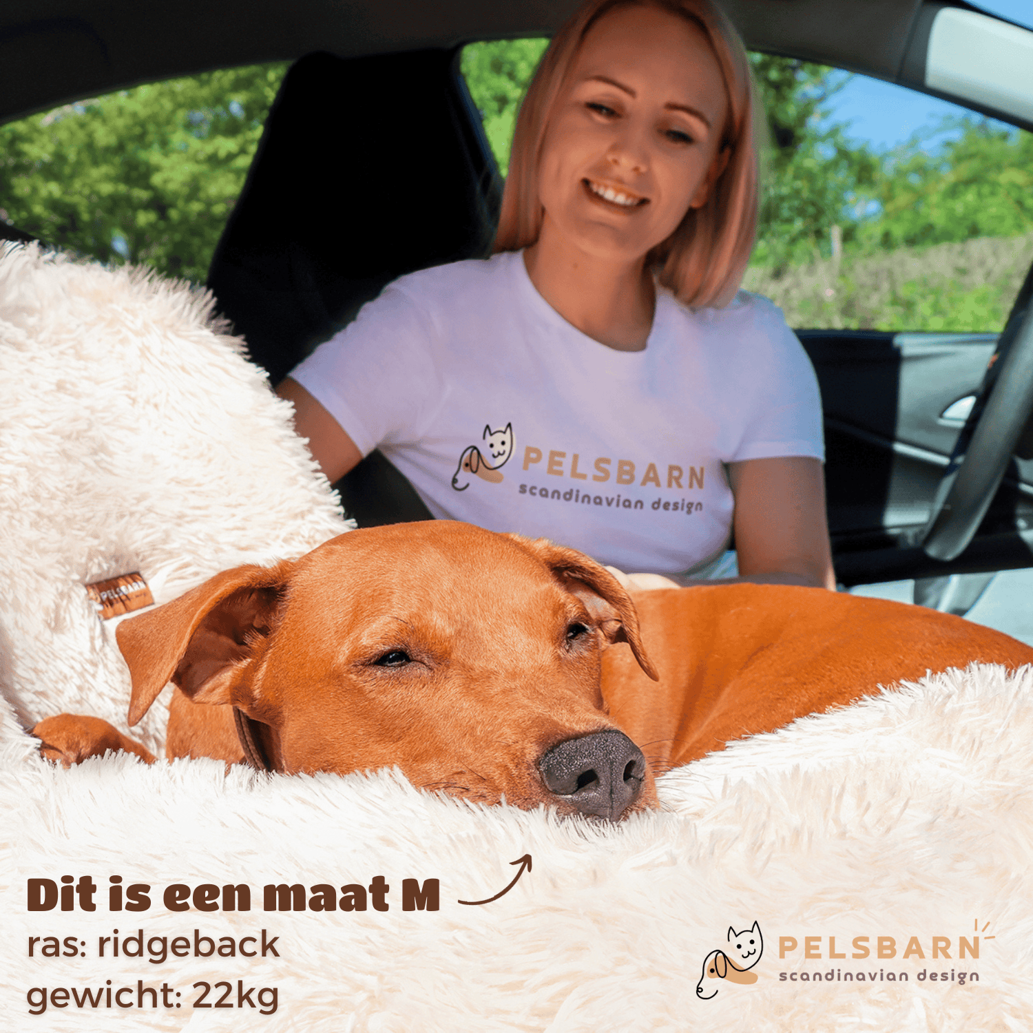 Pelsbarn Auto Hondenmand + Gratis Veiligheidsriem