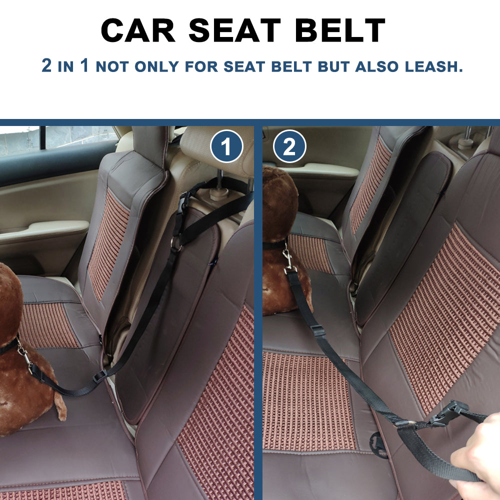 DogBelt | Altijd veilig onderweg met je viervoeter!