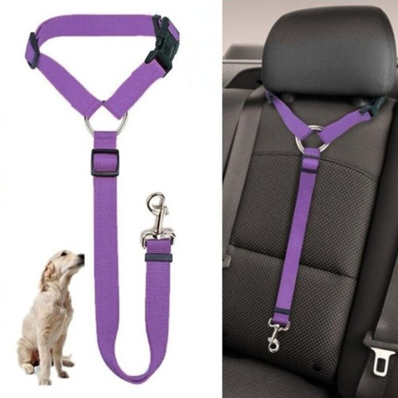 DogBelt | Altijd veilig onderweg met je viervoeter!
