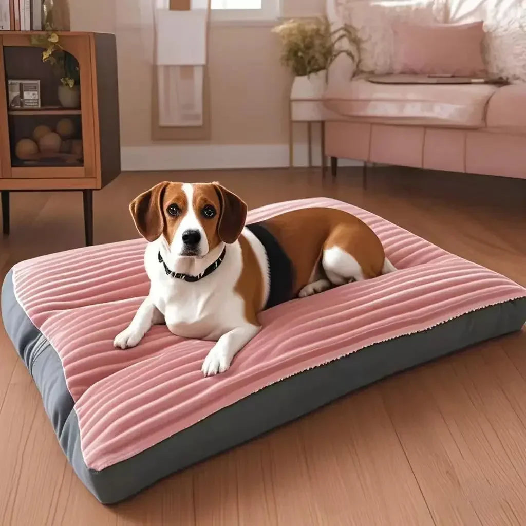 LE LE PET - 2-in-1 Huisdiermand – Comfortabel Bed voor Hond of Kat
