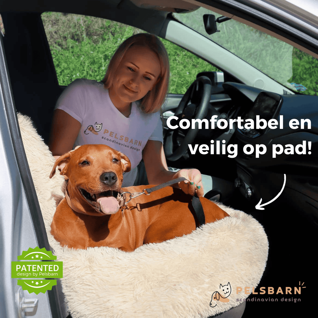 Pelsbarn Auto Hondenmand + Gratis Veiligheidsriem