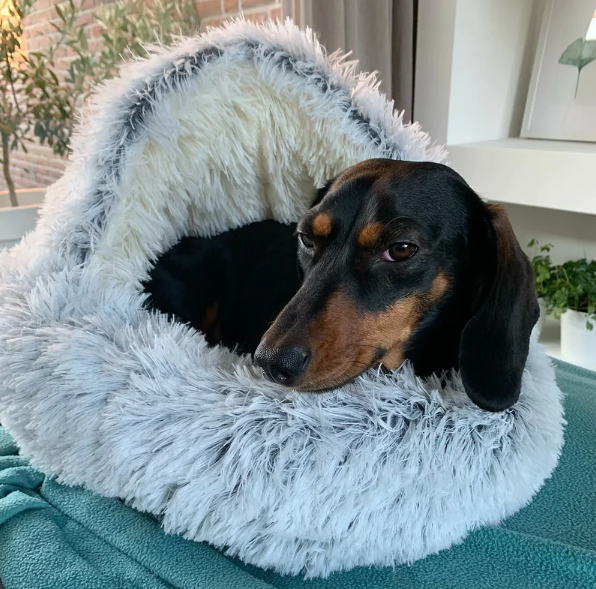 DogHome | De ultieme hondenmand!