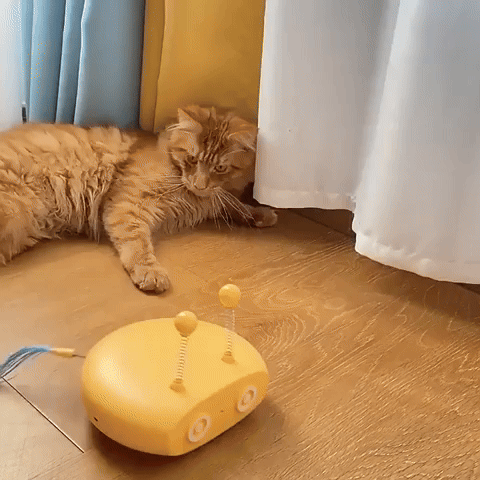 SmartRobot - Automatisch kattenspeeltje dat rijdt, lasert en veert — alles om je kat op jacht te zetten.