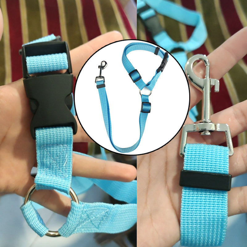 DogBelt | Altijd veilig onderweg met je viervoeter!