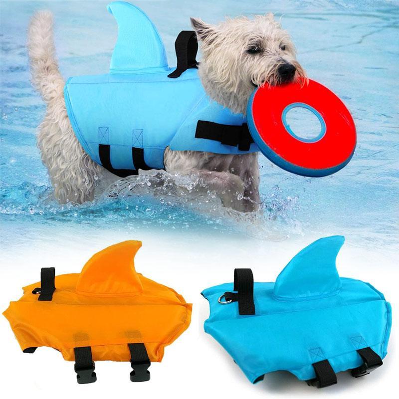 DogSwim | Houd je hond veilig tijdens wateravonturen!