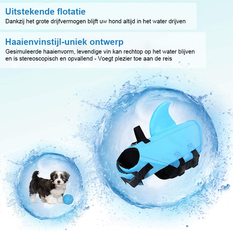 DogSwim | Houd je hond veilig tijdens wateravonturen!