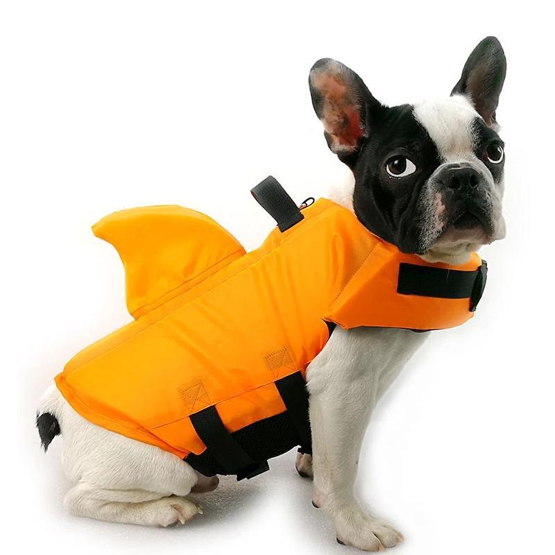 DogSwim | Houd je hond veilig tijdens wateravonturen!