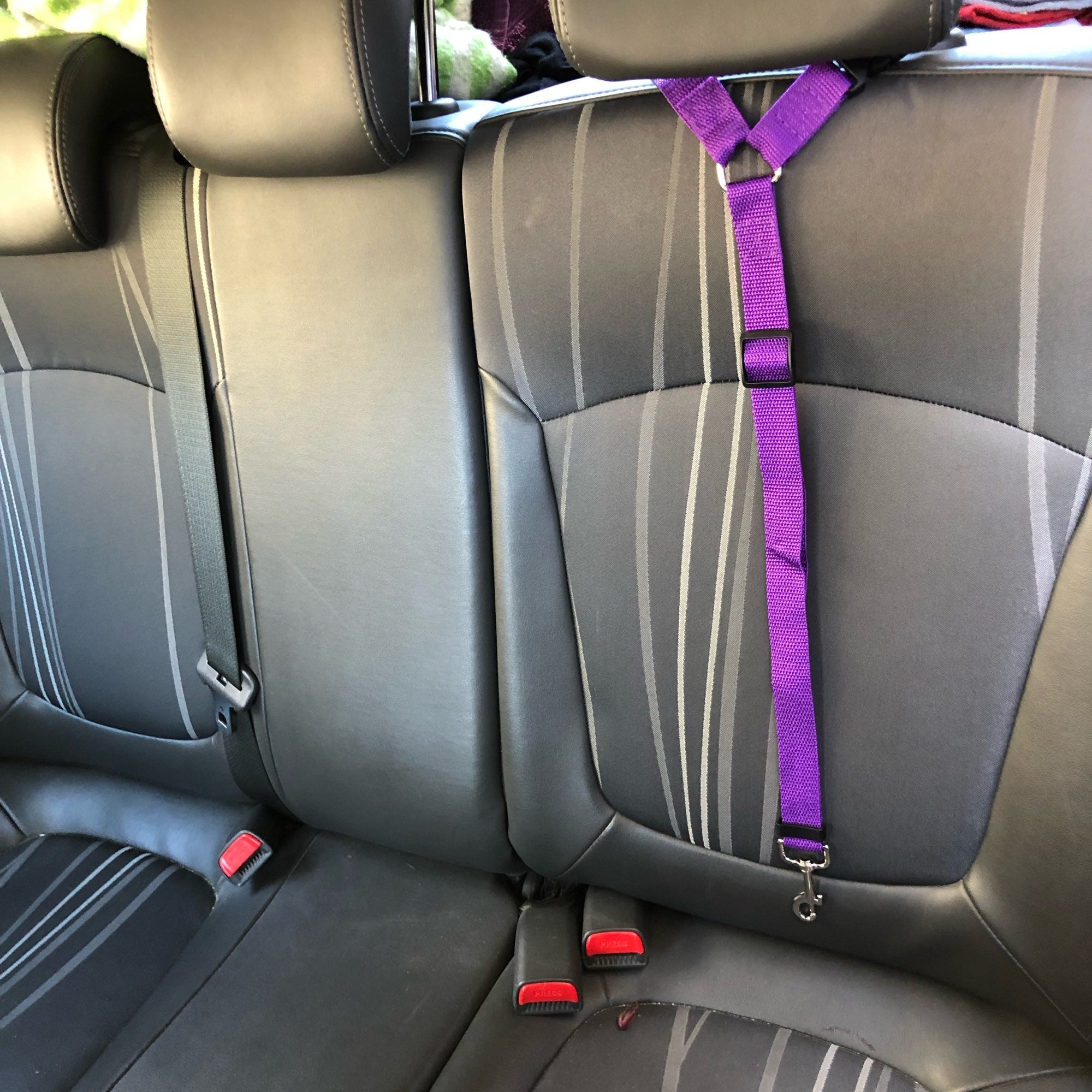 DogBelt | Altijd veilig onderweg met je viervoeter!