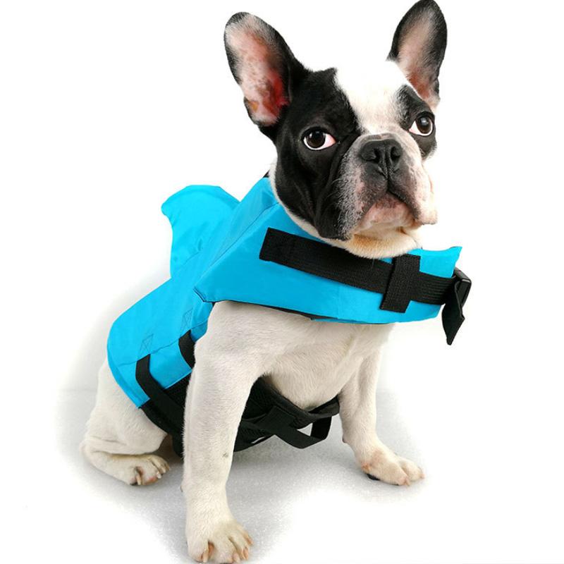 DogSwim | Houd je hond veilig tijdens wateravonturen!